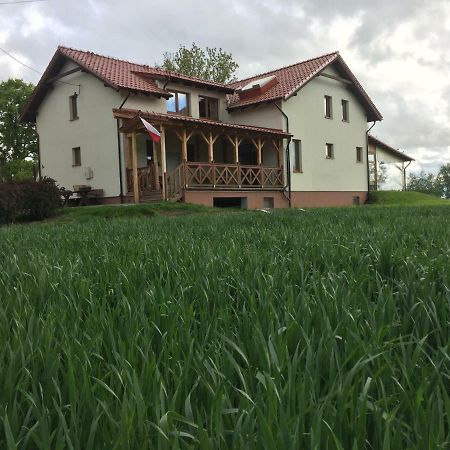 Bajanowka Villa Jazowa  Bagian luar foto
